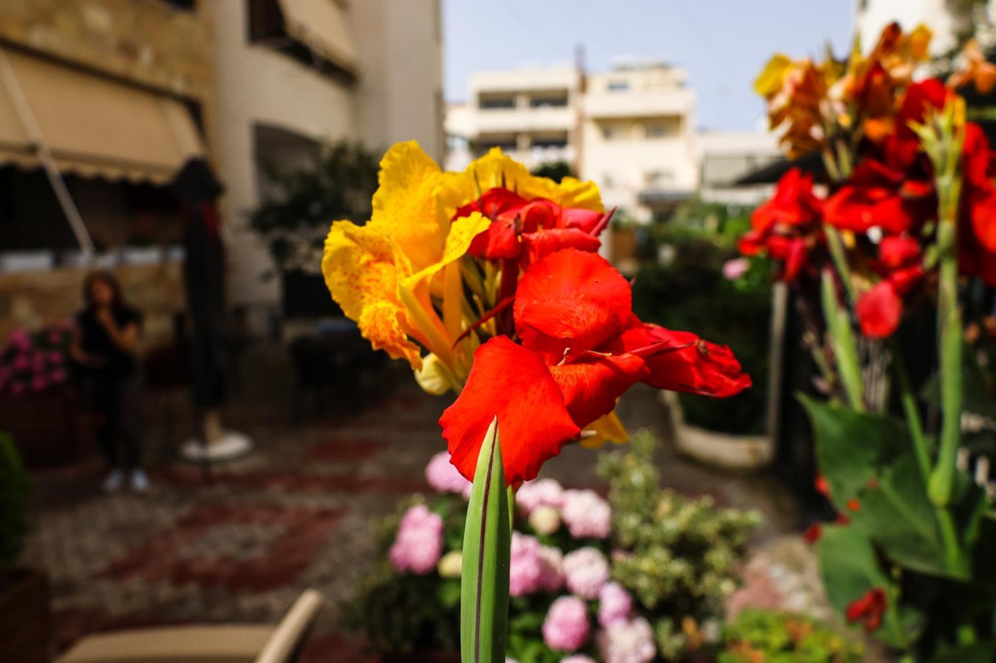 Vila Zhiti ดูร์เรส ภายนอก รูปภาพ